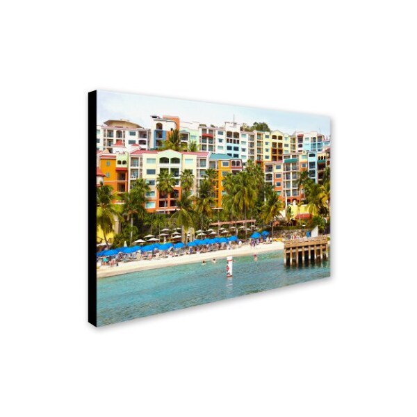 CATeyes 'Virgin Islands 8' Canvas Art,16x24